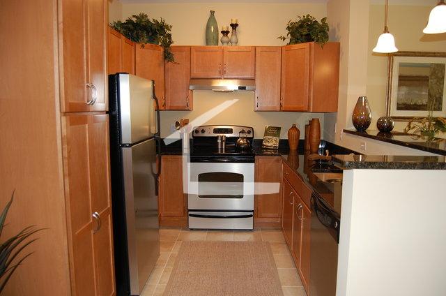 1 bed, 1 bath apartment for rent at 50 West Broadway Unit 302, South Boston — photo 2 of 7