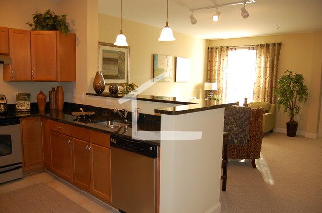 1 bed, 1 bath apartment for rent at 50 West Broadway Unit 302, South Boston — photo 3 of 7