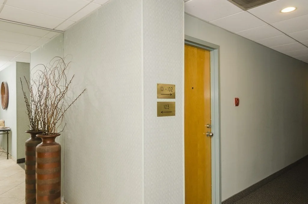 1 bed, 1 bath apartment for rent at 50 Winchester St Unit 202, Brookline — photo 4 of 17
