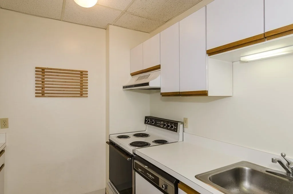 1 bed, 1 bath apartment for rent at 50 Winchester St Unit 202, Brookline — photo 9 of 17