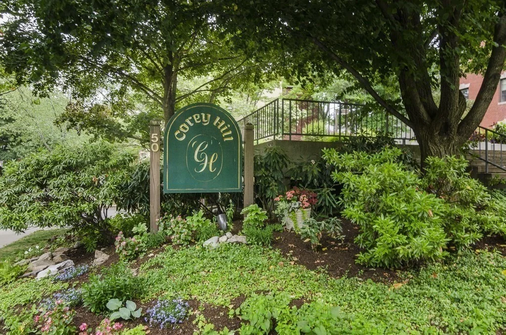1 bed, 1 bath apartment for rent at 50 Winchester St Unit 202, Brookline
