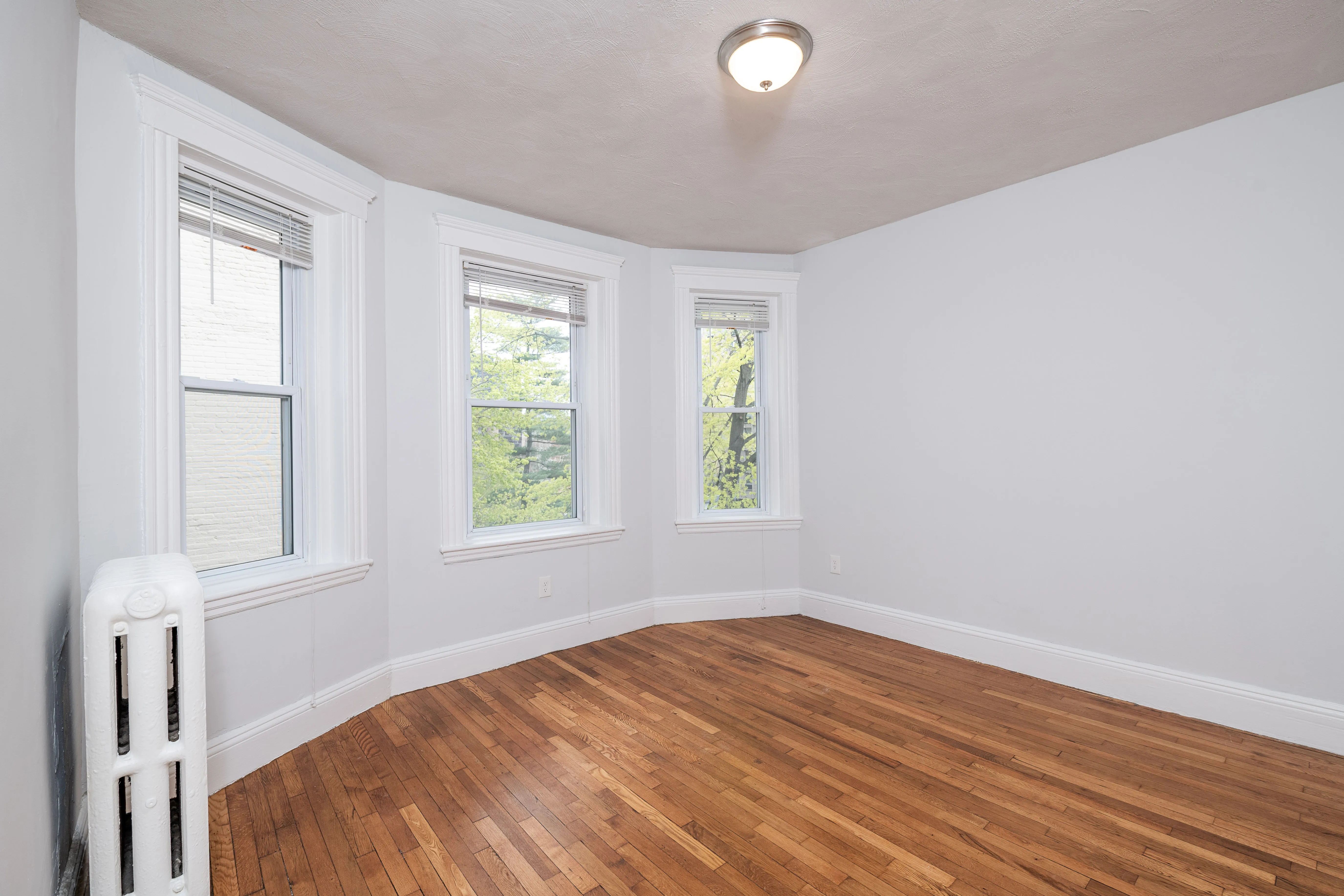 Studio bed, 1 bath apartment for rent at 50 Worthington St Unit 24A, Mission Hill — photo 1 of 9