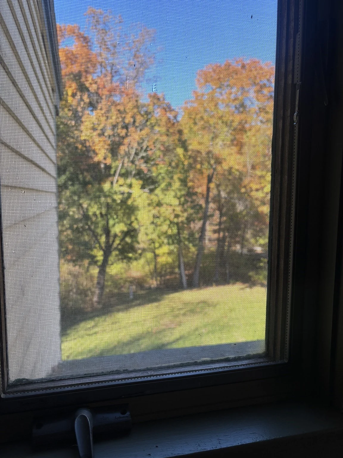 3 bed, 1 bath apartment for rent at 500 W Main St, Northborough — photo 30 of 31