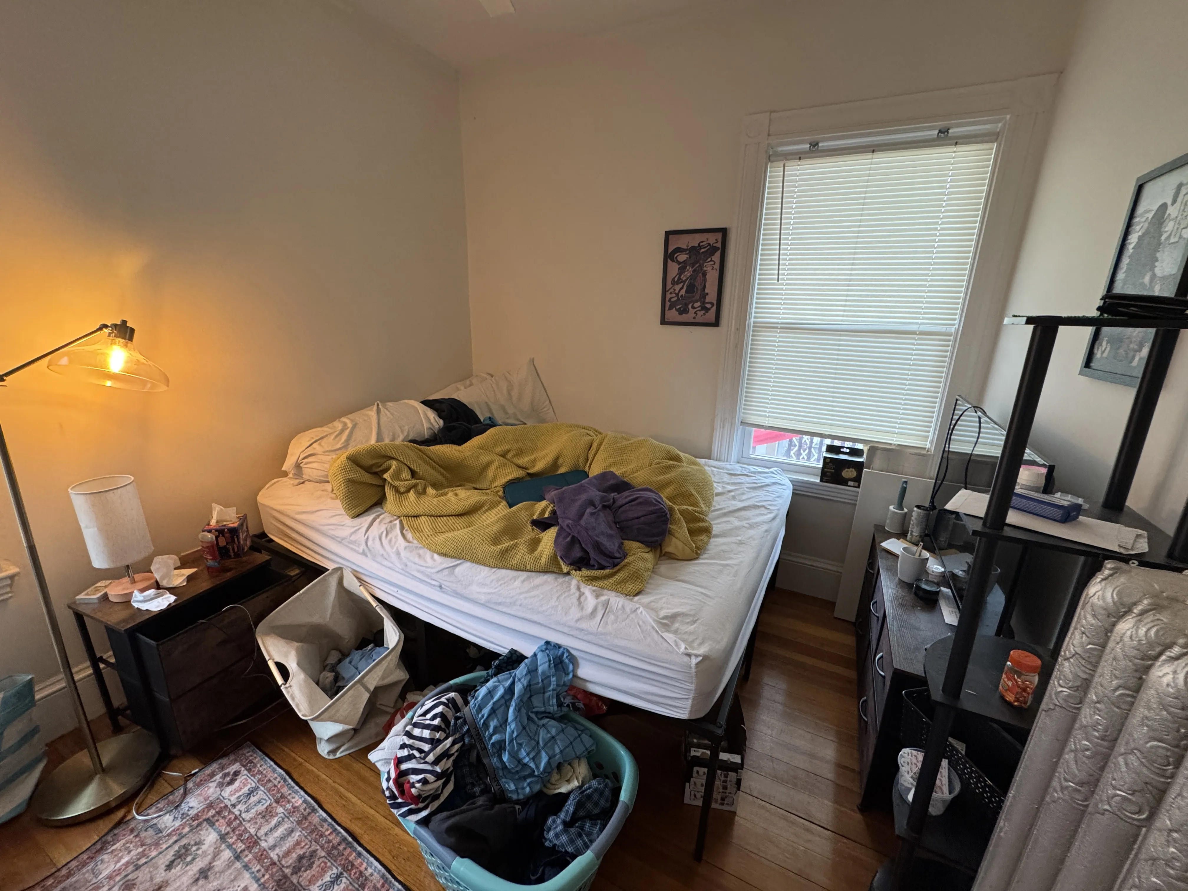 4 bed, 1 bath apartment for rent at 51 Ibbetson St Unit 3, Spring Hill — photo 9 of 17