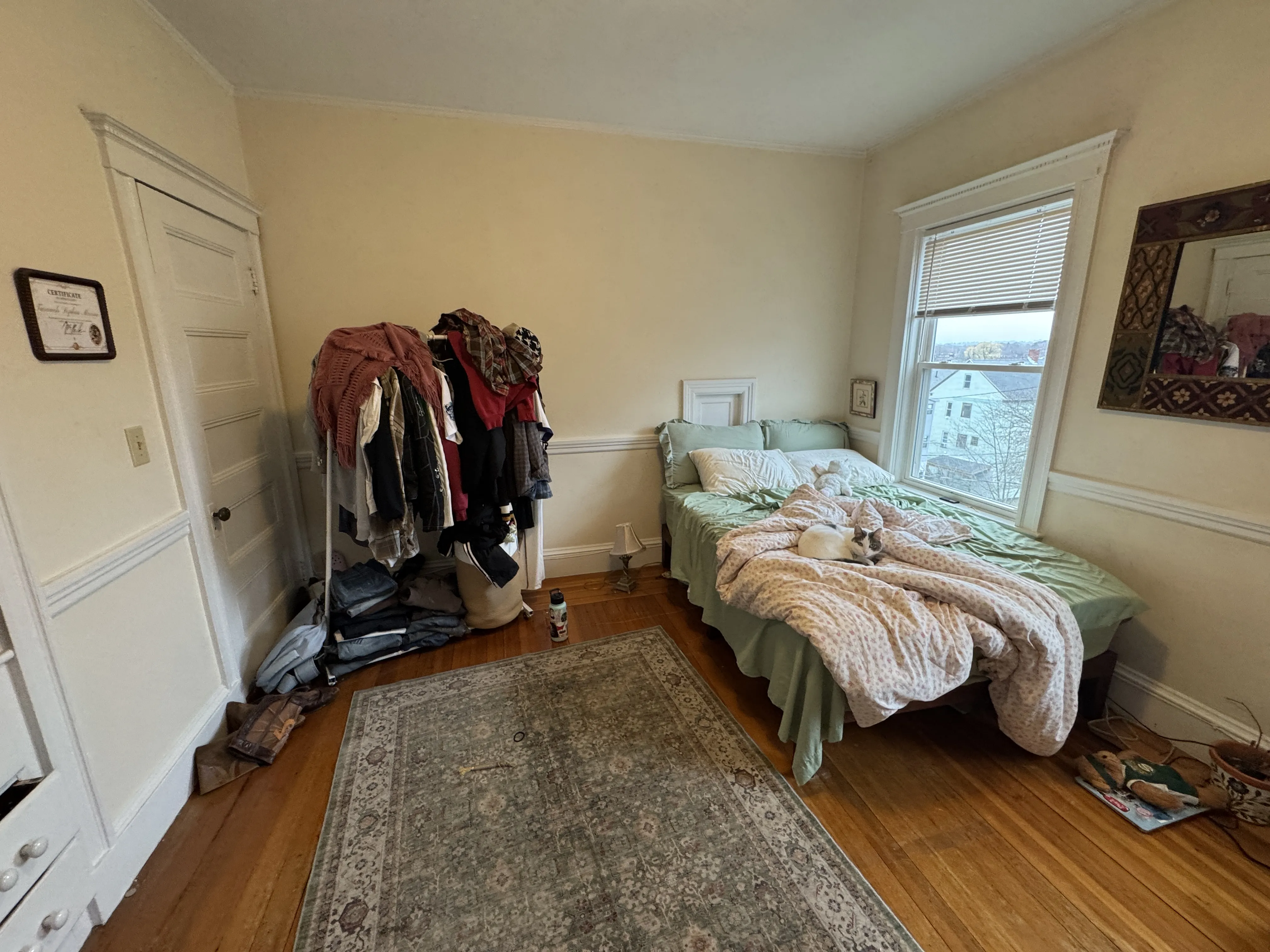 4 bed, 1 bath apartment for rent at 51 Ibbetson St Unit 3, Spring Hill — photo 15 of 17