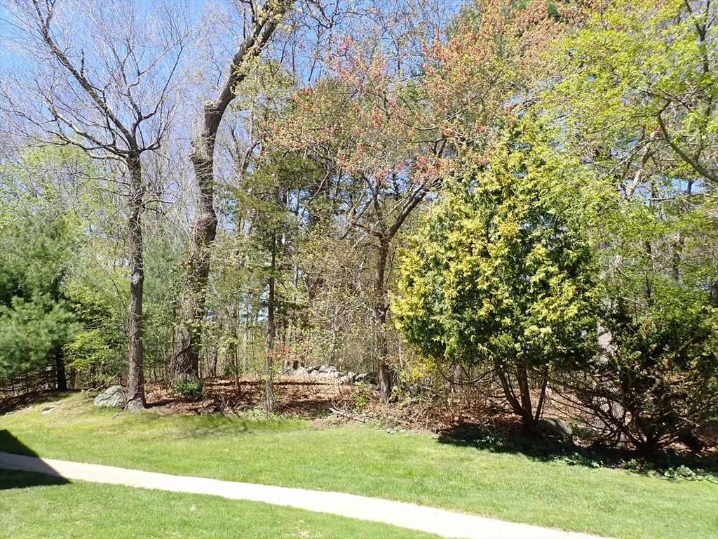 1 bed, 1 bath apartment for rent at 51 Jacqueline Rd Unit 3, Waltham — photo 18 of 18