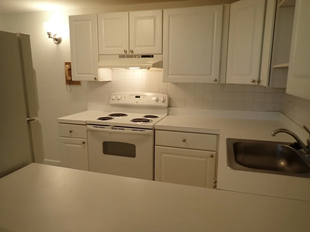 1 bed, 1 bath apartment for rent at 51 Jacqueline Rd Unit 3, Waltham — photo 4 of 18