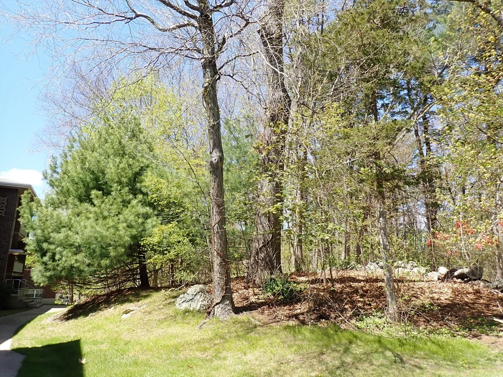 1 bed, 1 bath apartment for rent at 51 Jacqueline Rd Unit 3, Waltham — photo 17 of 18