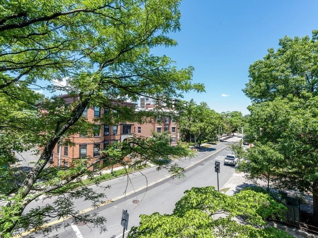 2 bed, 2 bath apartment for rent at 51 John Unit 303, Coolidge Corner — photo 14 of 15