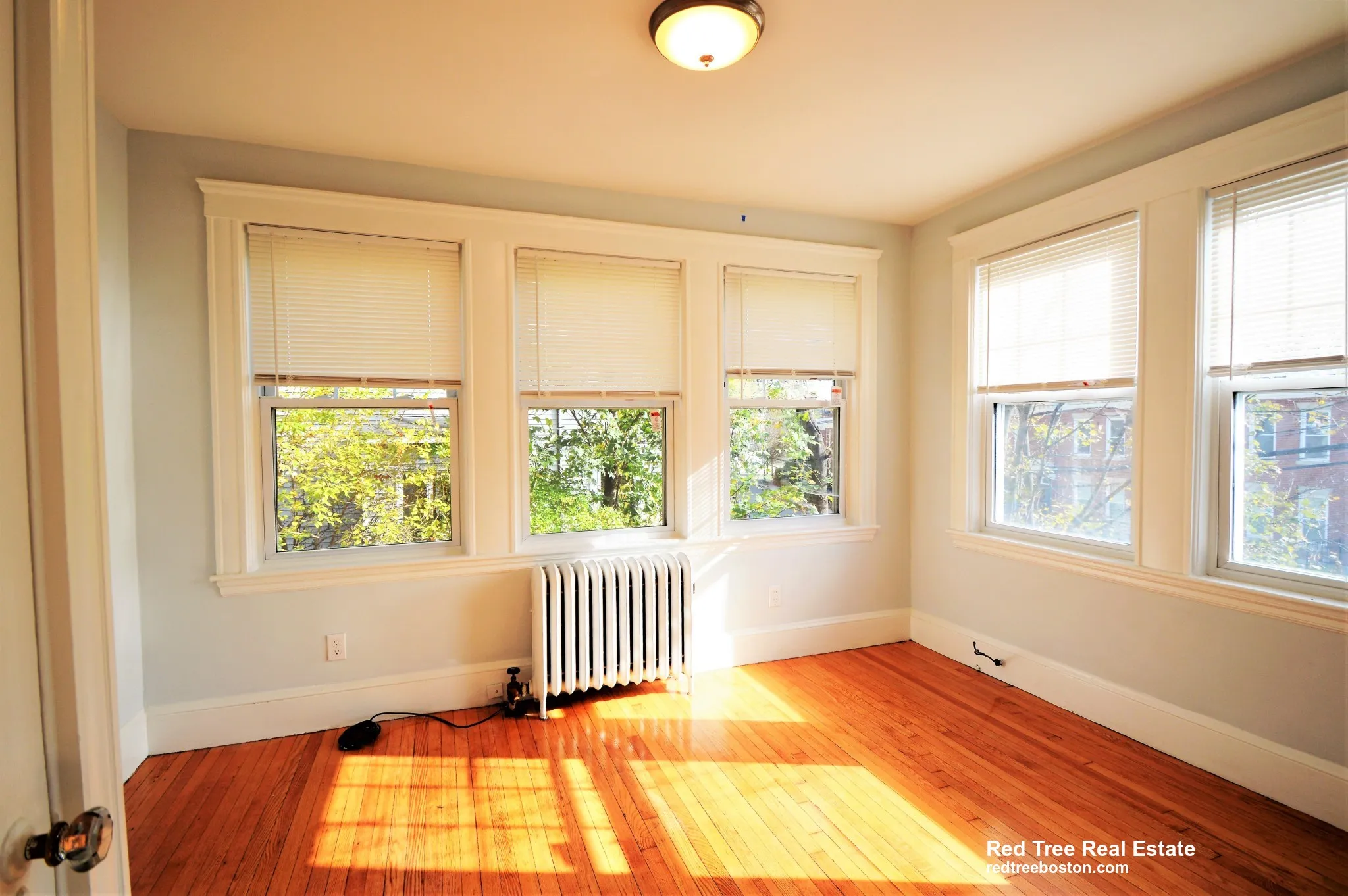 4 bed, 2 bath apartment for rent at 51 Leamington Rd Unit 1A, Brighton — photo 5 of 13