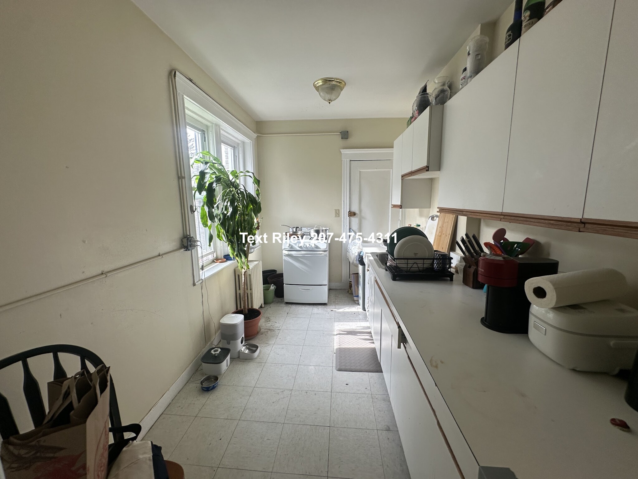 1 bed, 1 bath apartment for rent at 51 Linden St Unit 11, Allston — photo 5 of 9