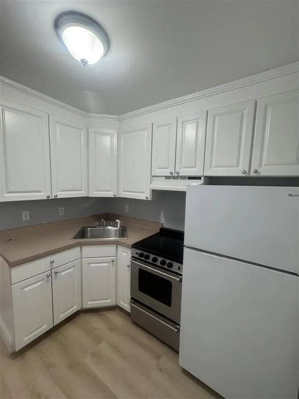 1 bed, 1 bath apartment for rent at 516R Somerville Ave Unit SF, Ward Two — photo 2 of 18