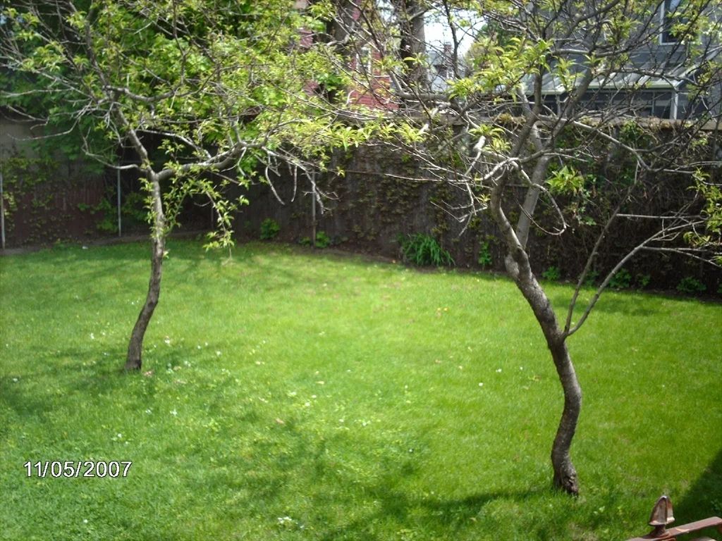 2 bed, 1 bath apartment for rent at 518 Watertertown St Unit 1, Newton — photo 8 of 8