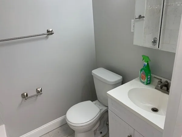 2 bed, 2 bath apartment for rent at 519 Washington St Unit 00B, Coolidge Corner — photo 8 of 10