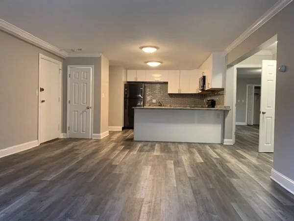 2 bed, 2 bath apartment for rent at 519 Washington St Unit 00B, Coolidge Corner — photo 2 of 10
