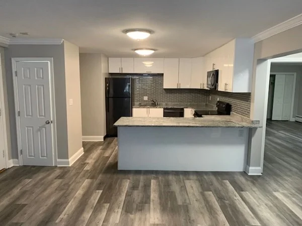 2 bed, 2 bath apartment for rent at 519 Washington St Unit 00B, Coolidge Corner — photo 1 of 10
