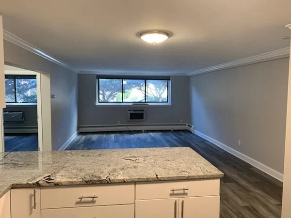 2 bed, 2 bath apartment for rent at 519 Washington St Unit 00B, Coolidge Corner — photo 3 of 10