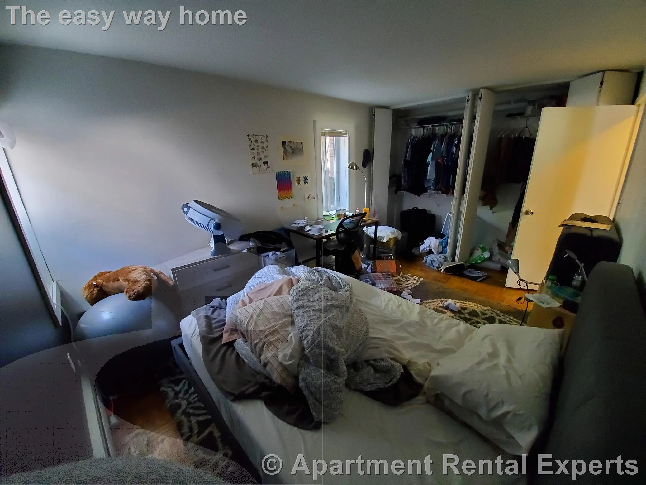 1 bed, 1 bath apartment for rent at 524 Putnam Ave Unit 1, Cambridgeport — photo 3 of 10