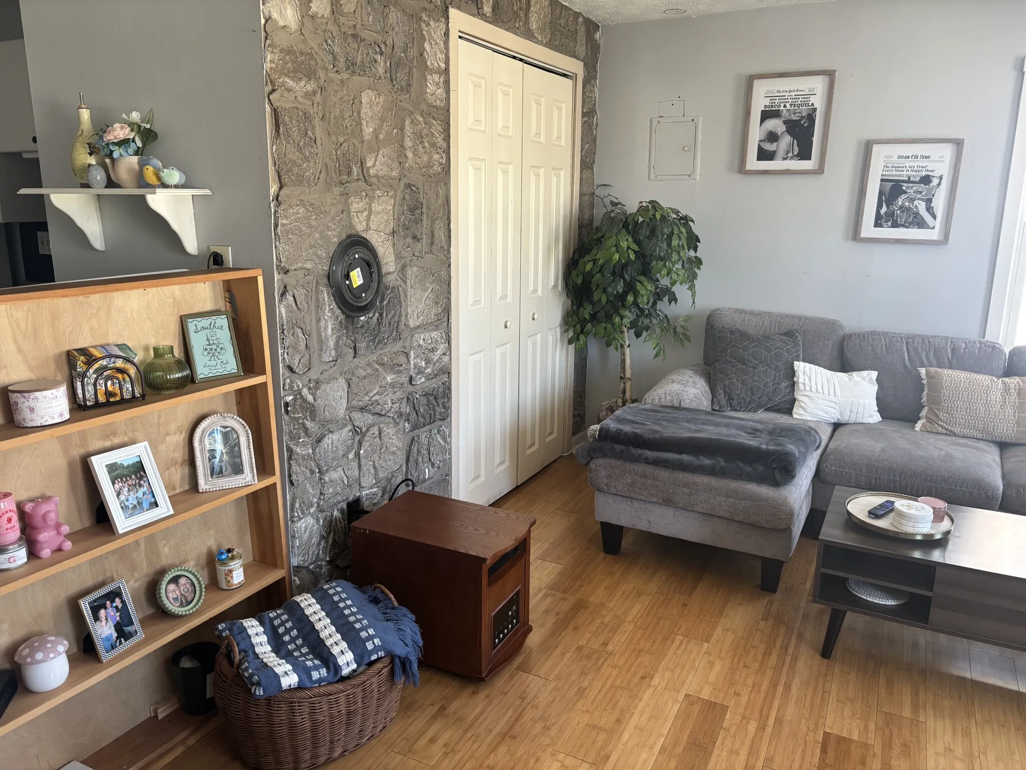 2 bed, 1 bath apartment for rent at 525 East 3rd St Unit 3F, South Boston — photo 2 of 11