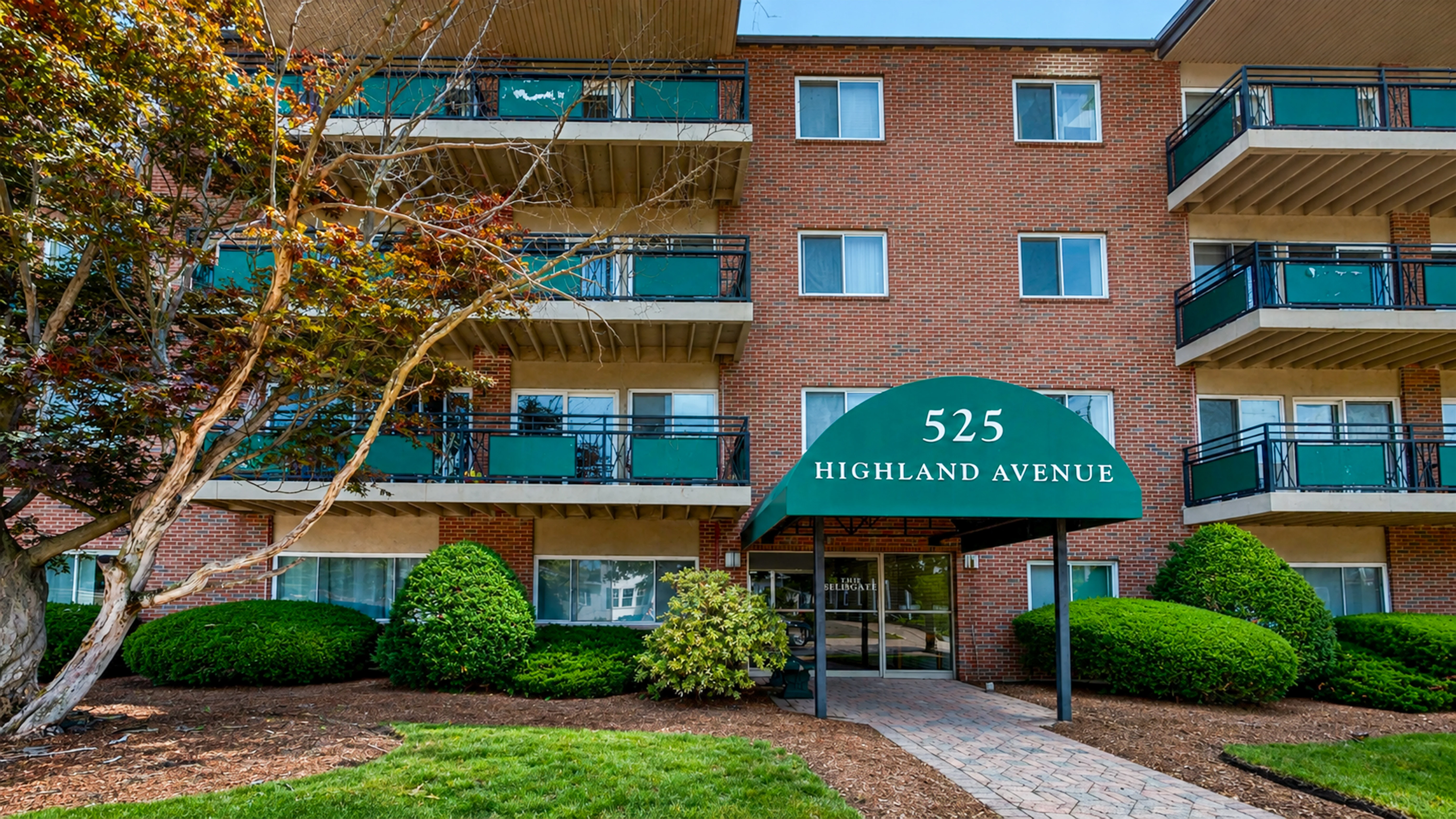 2 bed, 1 bath apartment for rent at 525 Highland Ave Unit 11, Malden — photo 11 of 14
