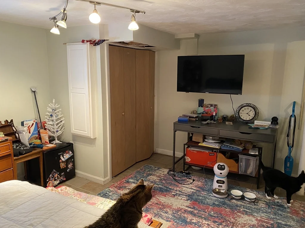 3 bed, 2 bath apartment for rent at 53 Dickson Ave, Arlington — photo 22 of 28