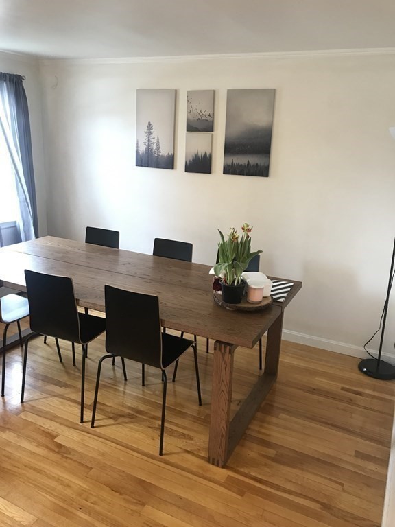4 bed, 2 bath apartment for rent at 53 Elinor Rd, Newton Highlands — photo 3 of 29