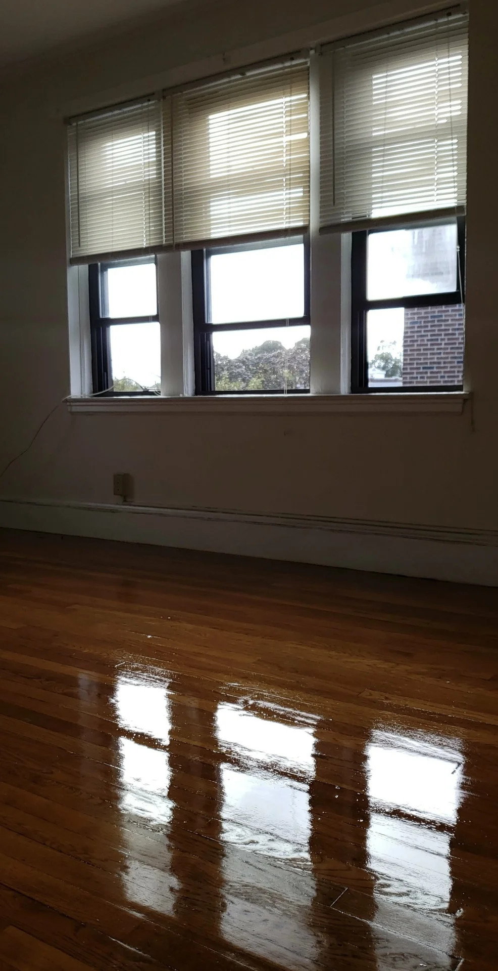 1 bed, 1 bath apartment for rent at 53 Fellsway Unit 19, Medford — photo 1 of 4