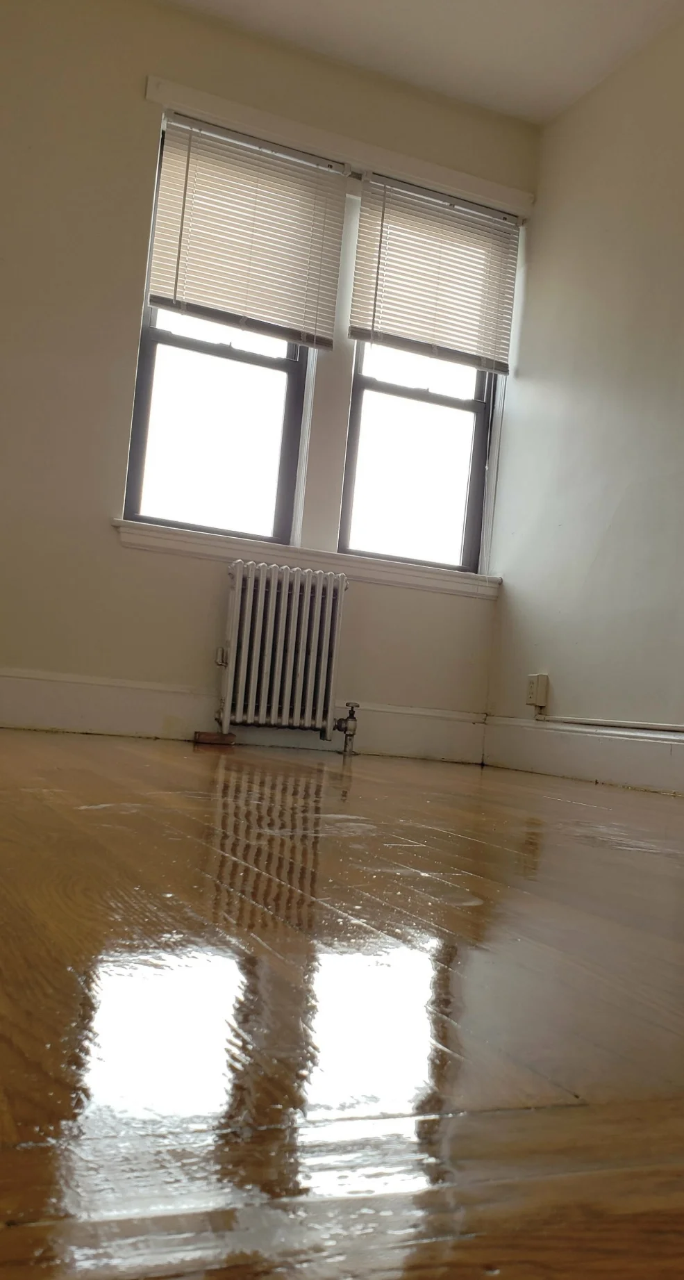 1 bed, 1 bath apartment for rent at 53 Fellsway Unit 19, Medford — photo 3 of 4