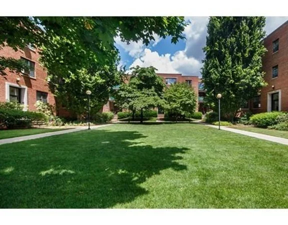 1 bed, 1 bath apartment for rent at 53 Harvard Ave Unit 1, Coolidge Corner — photo 2 of 9