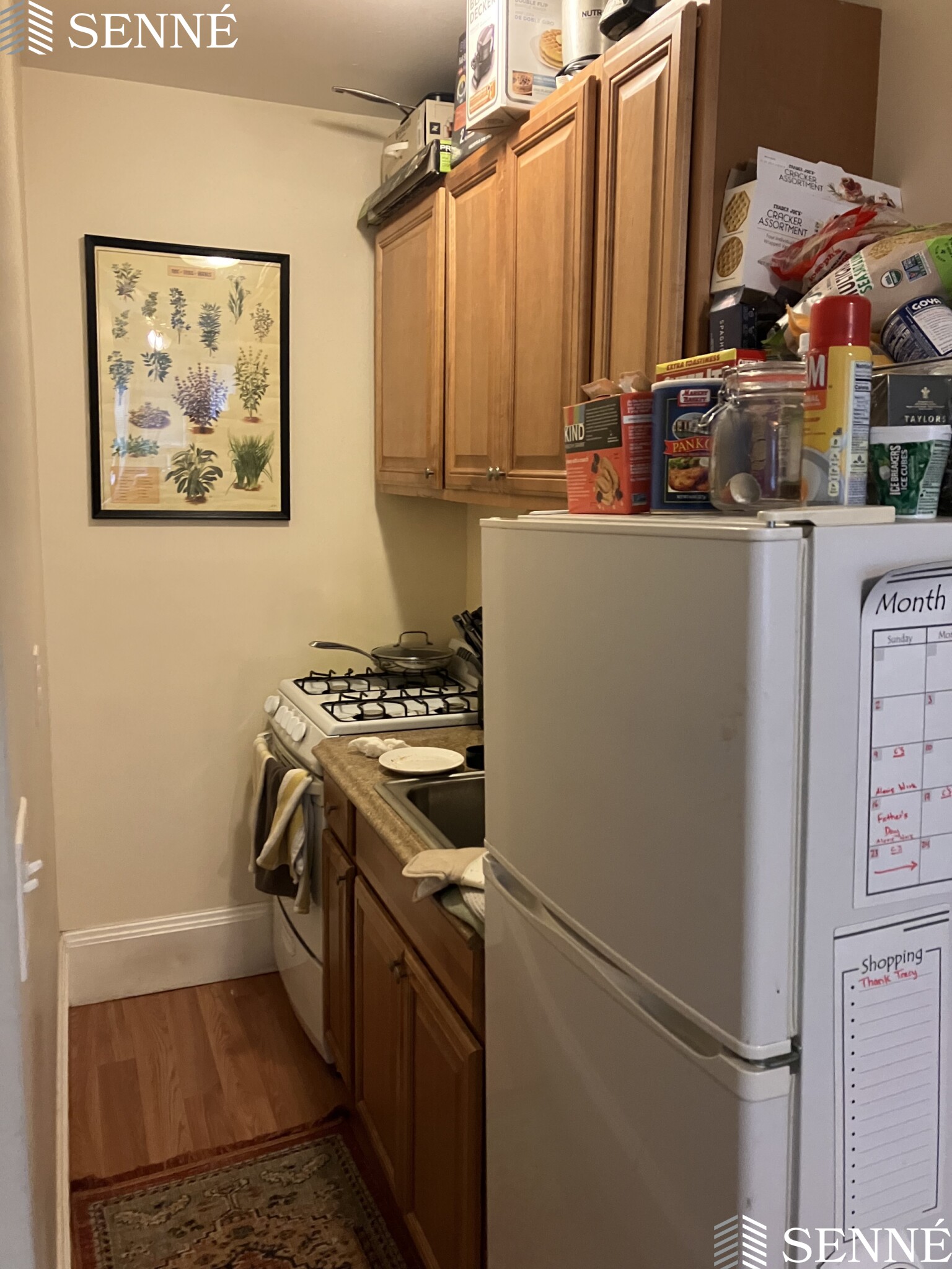 1 bed, 1 bath apartment for rent at 53 Laurel St Unit 3, Ward Two — photo 4 of 7