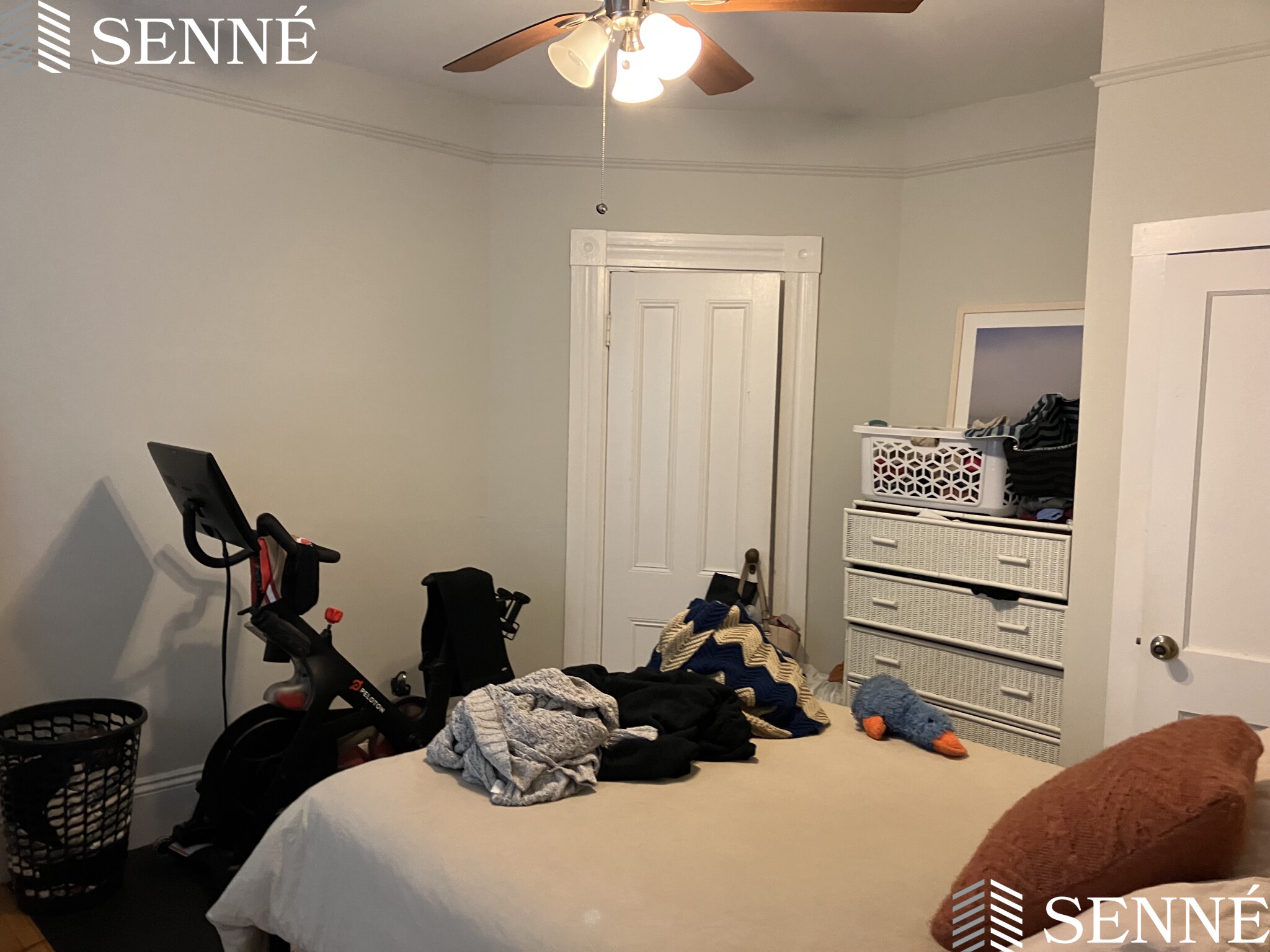 1 bed, 1 bath apartment for rent at 53 Laurel St Unit 3, Ward Two — photo 5 of 7