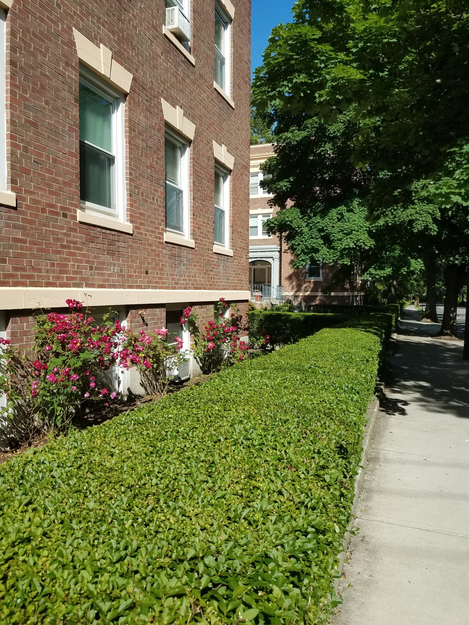 2 bed, 1 bath apartment for rent at 53 Manchester Rd Unit 5, North Brookline — photo 25 of 29