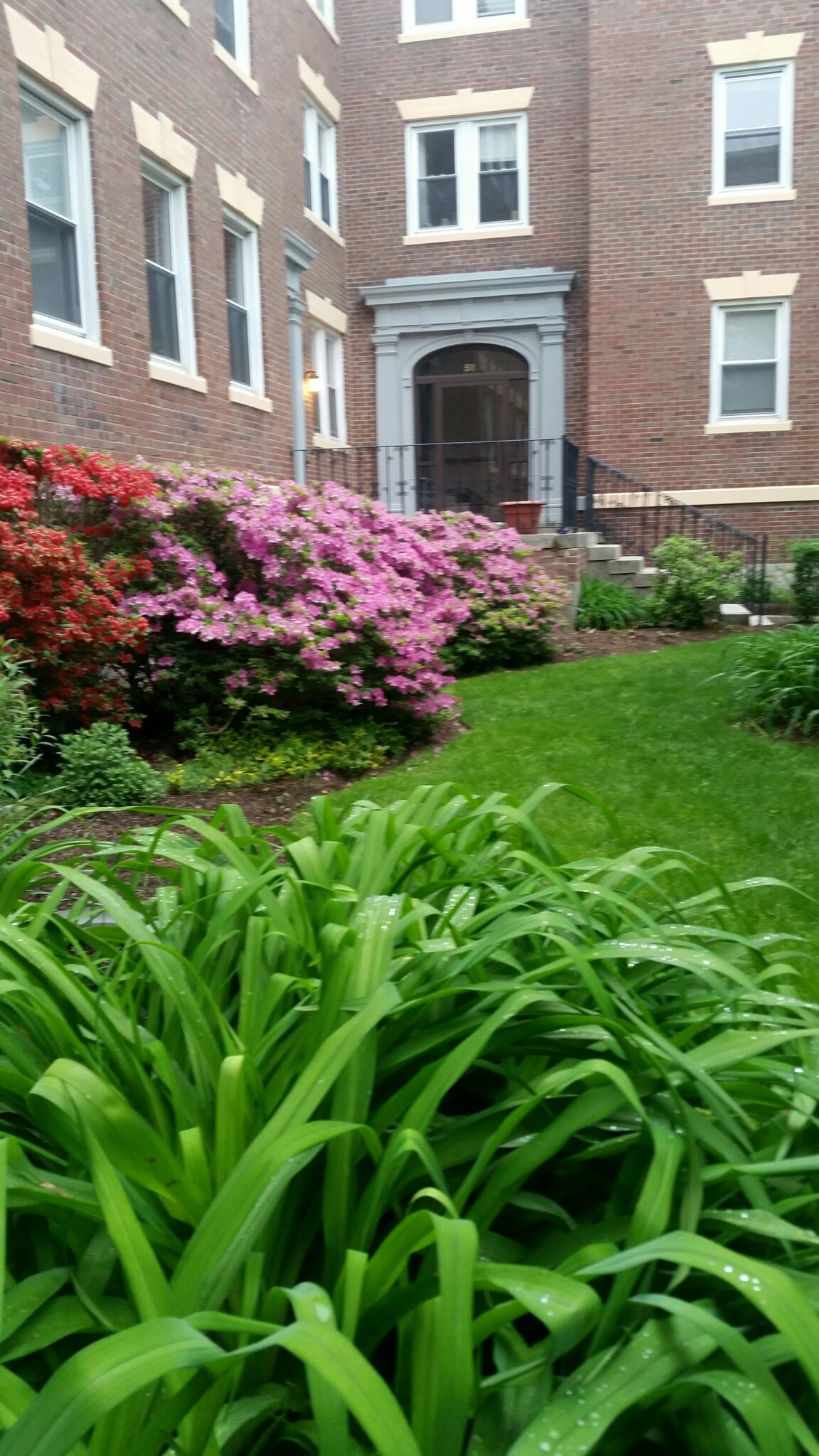 2 bed, 1 bath apartment for rent at 53 Manchester Rd Unit 5, North Brookline — photo 17 of 29