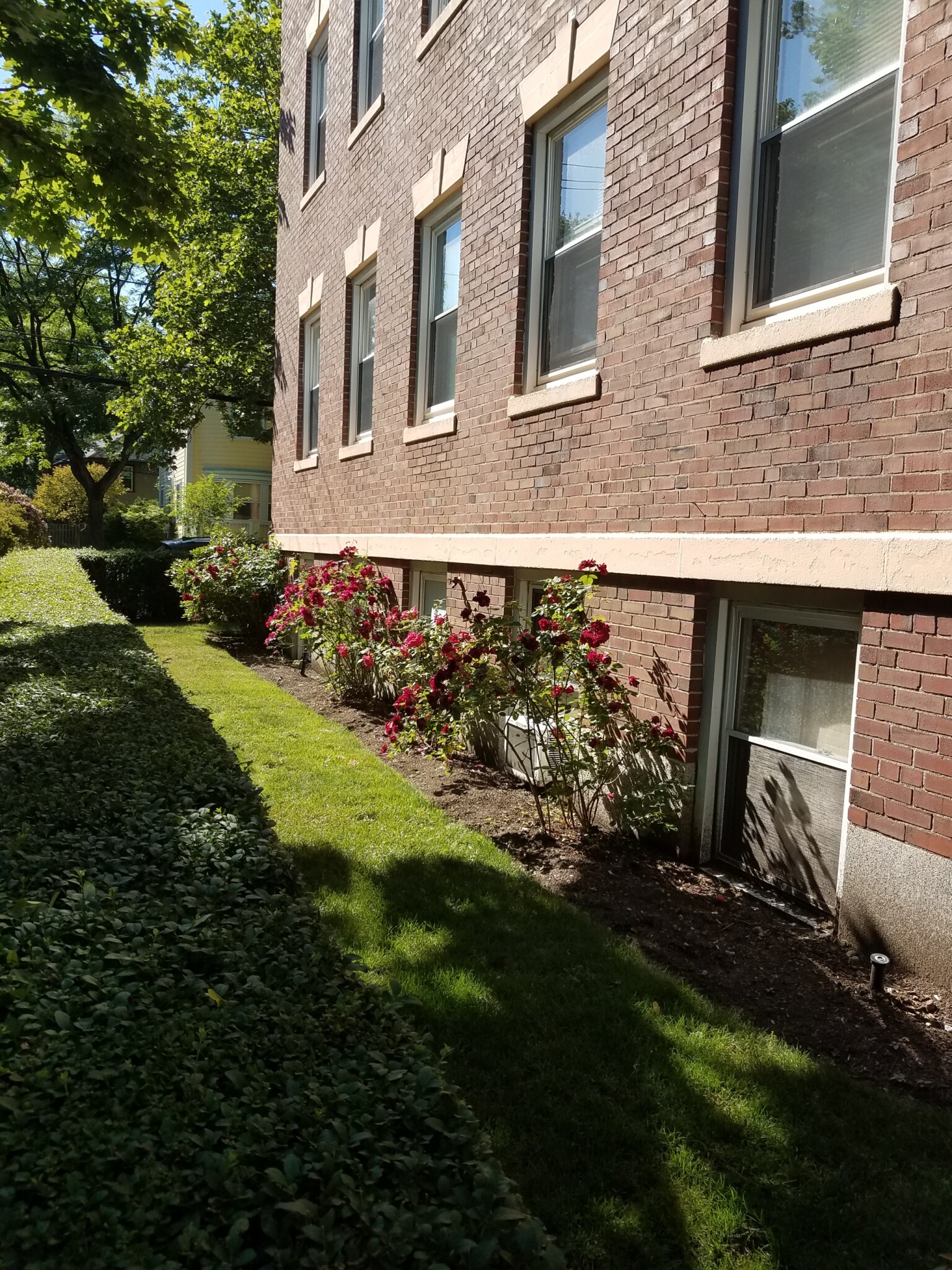 2 bed, 1 bath apartment for rent at 53 Manchester Rd Unit 5, North Brookline — photo 23 of 29
