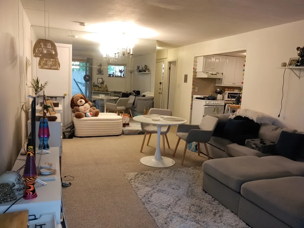 1 bed, 1 bath apartment for rent at 53 St Paul Unit 3, Coolidge Corner — photo 4 of 9