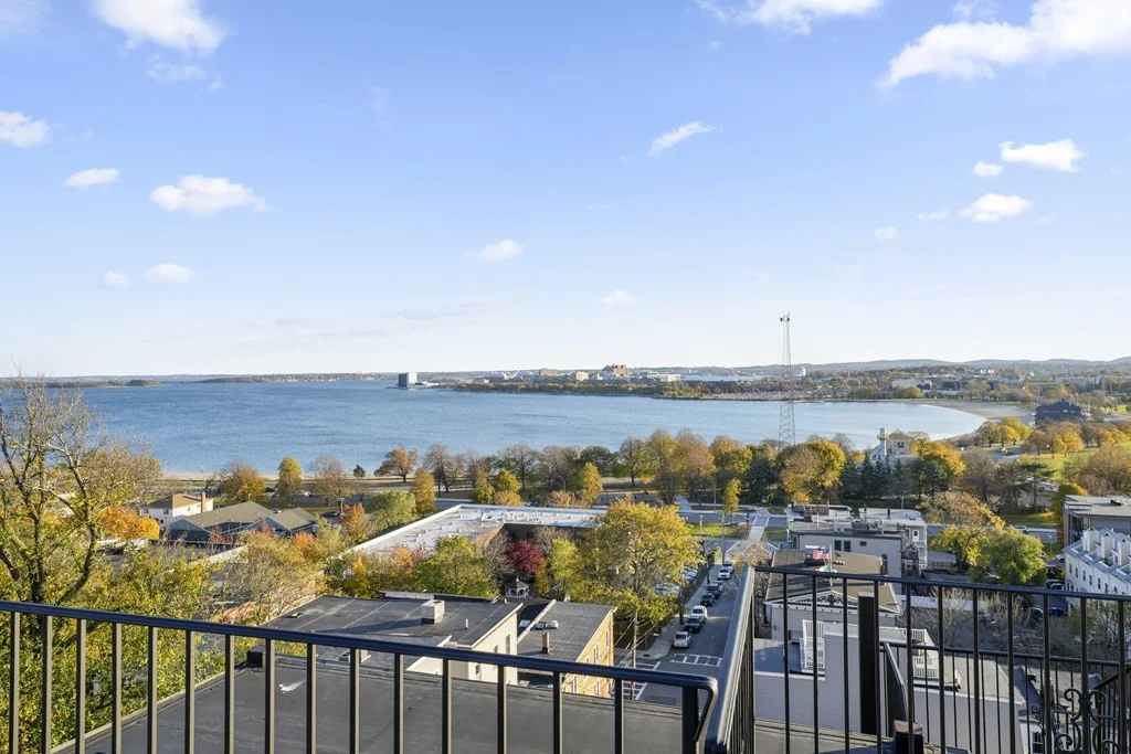 1 bed, 1 bath apartment for rent at 53 Thomas Park Unit 1, South Boston — photo 6 of 20