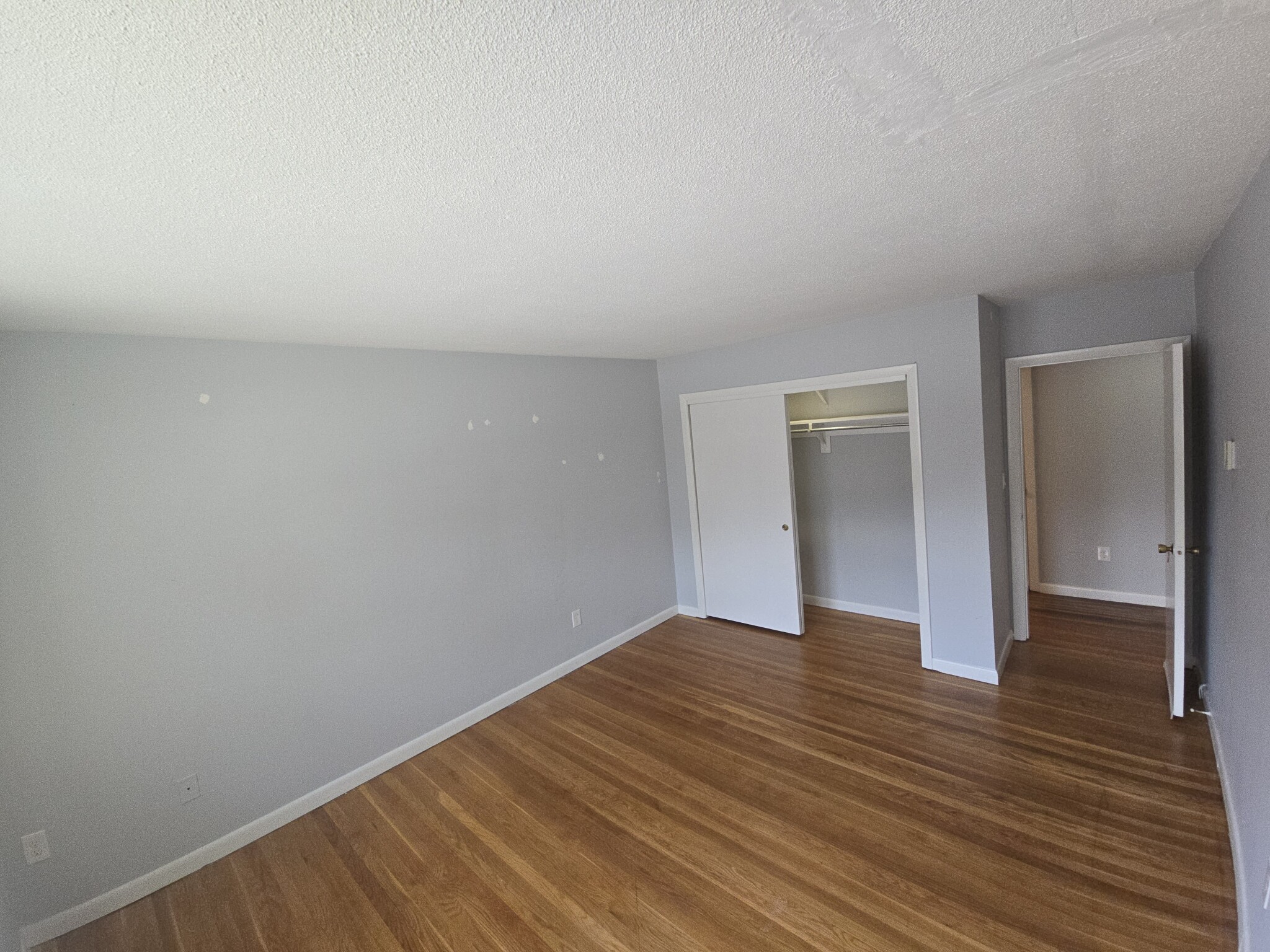 2 bed, 2 bath apartment for rent at 530 Vfw Pkwy Unit 101, West Roxbury — photo 5 of 9