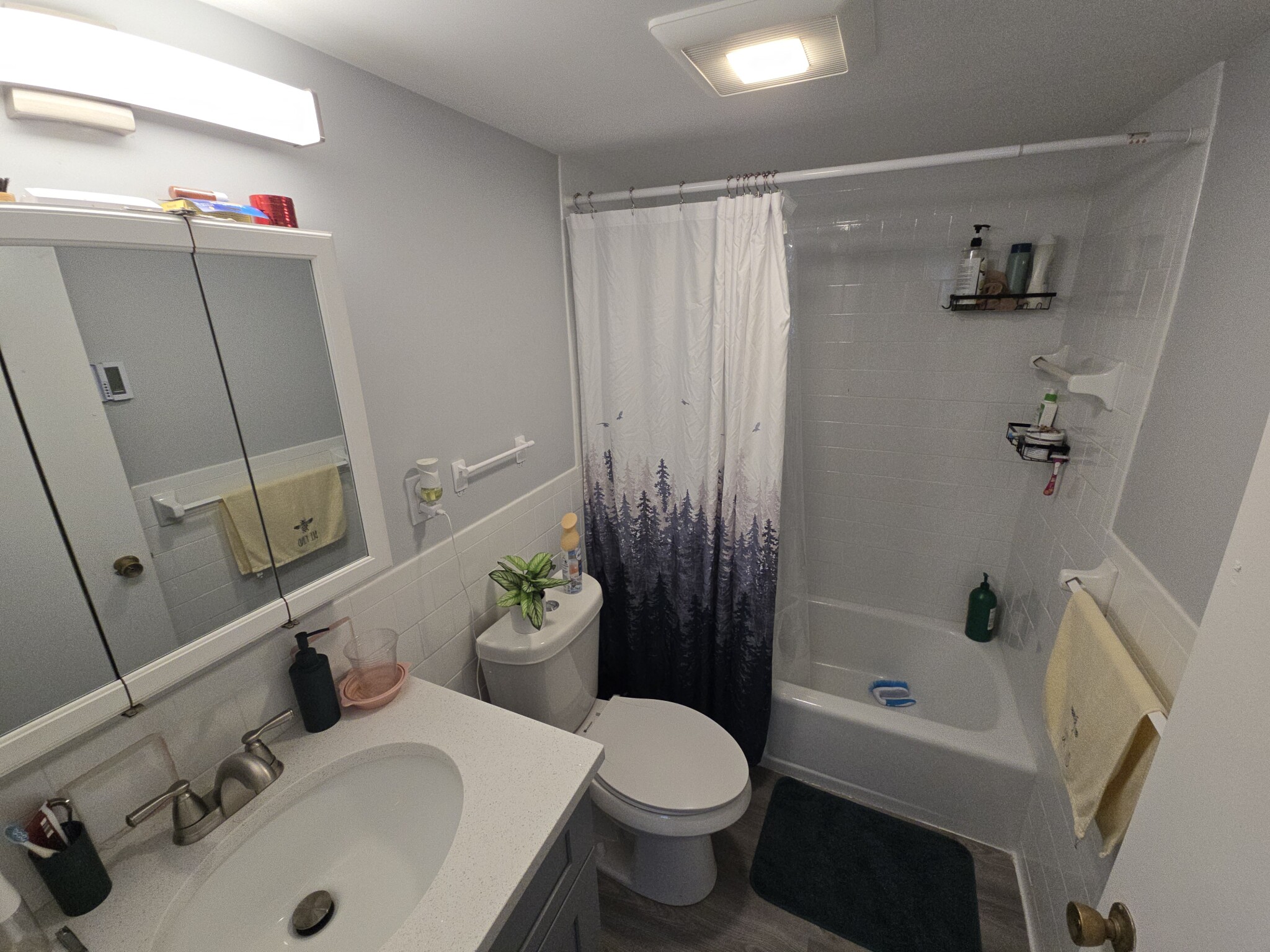 2 bed, 2 bath apartment for rent at 530 Vfw Pkwy Unit 101, West Roxbury — photo 9 of 9