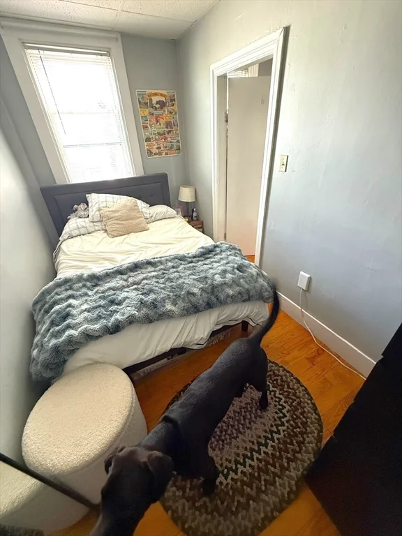 1 bed, 1 bath apartment for rent at 531 East 8th Unit 2, South Boston — photo 6 of 8