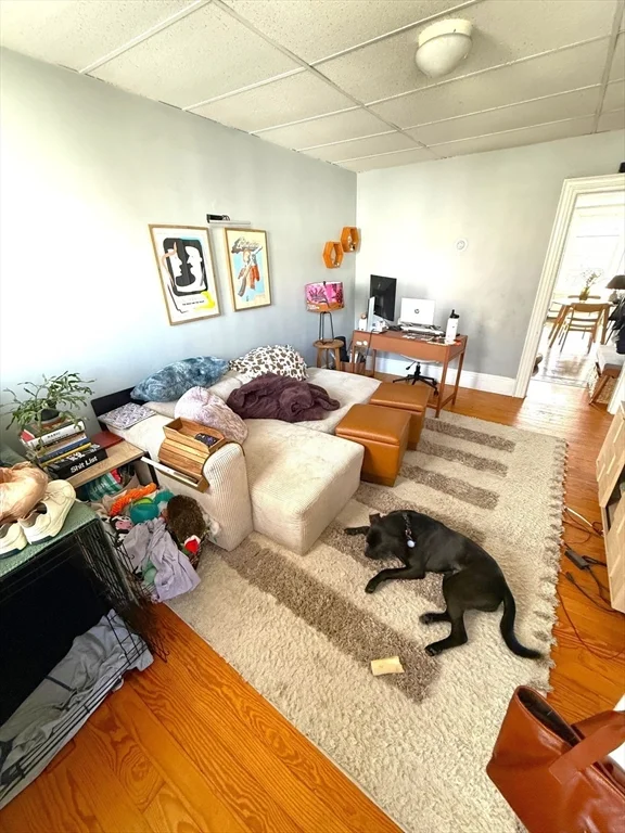1 bed, 1 bath apartment for rent at 531 East 8th Unit 2, South Boston — photo 4 of 8