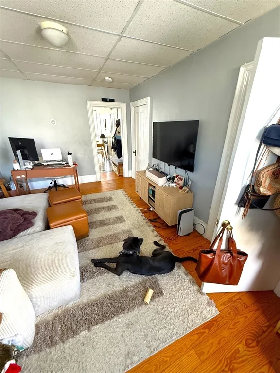 1 bed, 1 bath apartment for rent at 531 East 8th Unit 2, South Boston — photo 2 of 8