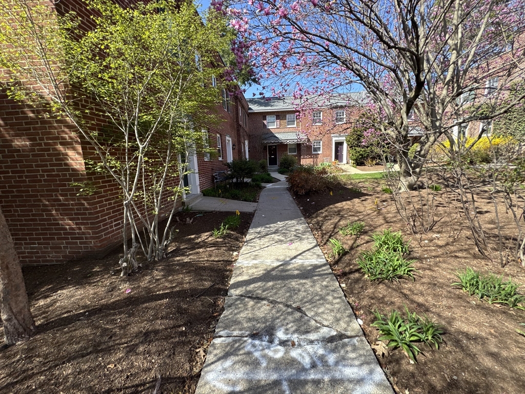 2 bed, 1 bath apartment for rent at 531 Vfw Pkwa Unit 531, Chestnut Hill — photo 2 of 34