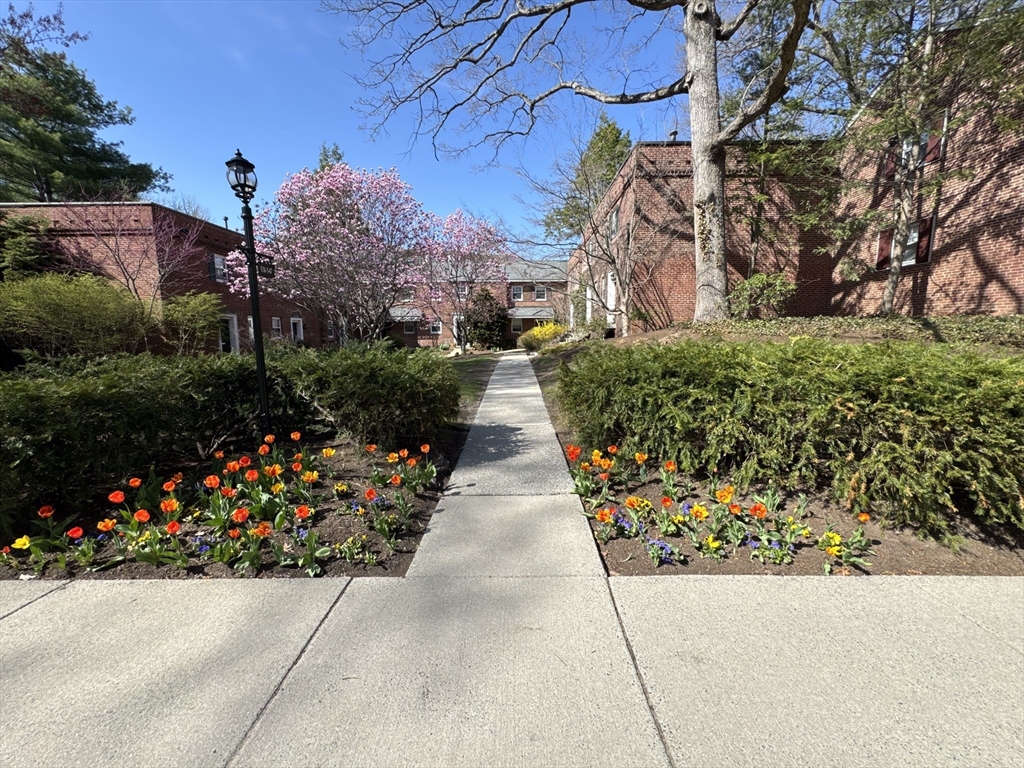 2 bed, 1 bath apartment for rent at 531 Vfw Pkwa Unit 531, Chestnut Hill — photo 1 of 34