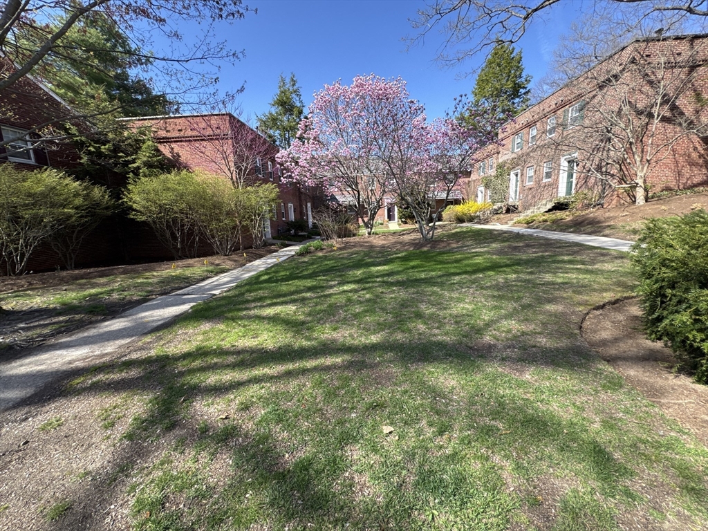 2 bed, 1 bath apartment for rent at 531 Vfw Pkwa Unit 531, Chestnut Hill — photo 3 of 34