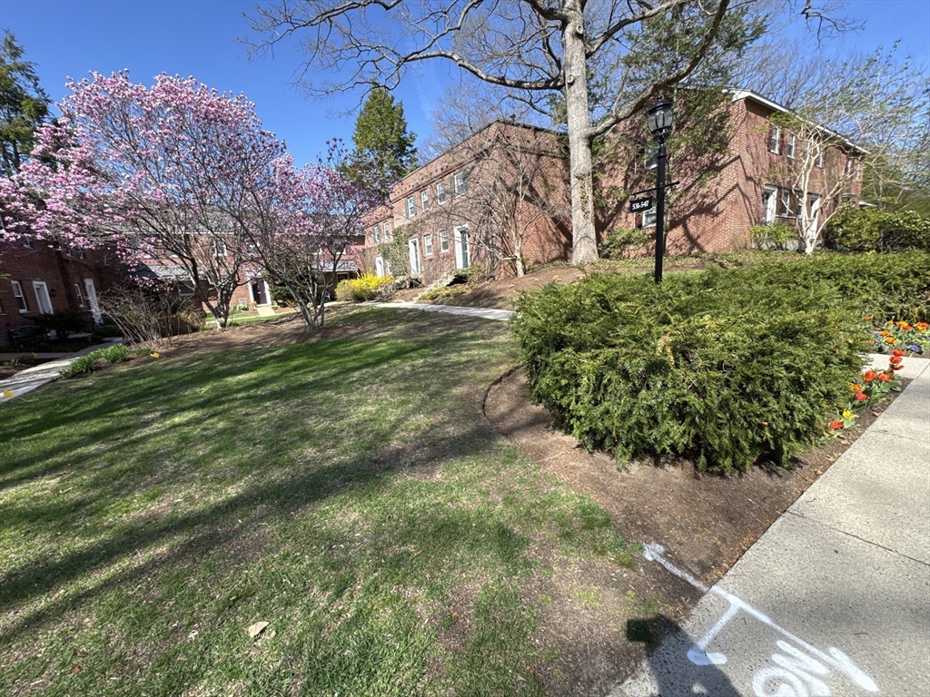 2 bed, 1 bath apartment for rent at 531 Vfw Pkwa Unit 531, Chestnut Hill — photo 5 of 34