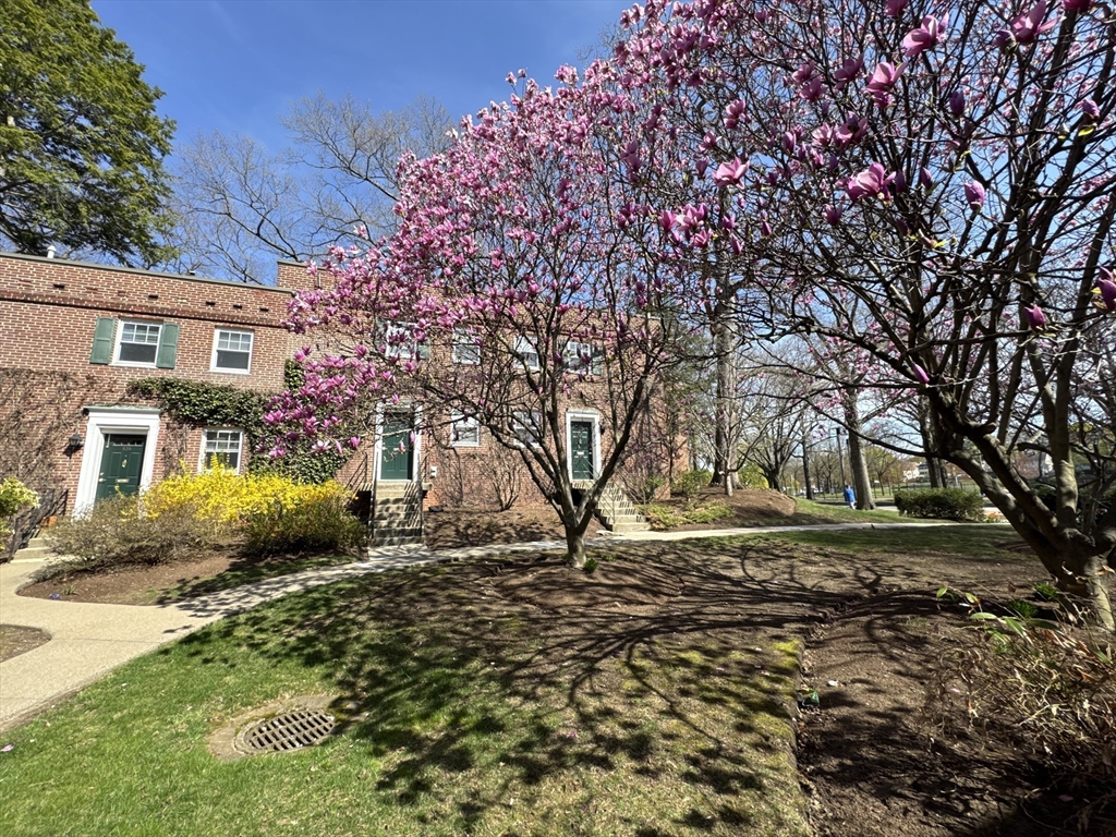 2 bed, 1 bath apartment for rent at 531 Vfw Pkwa Unit 531, Chestnut Hill — photo 4 of 34