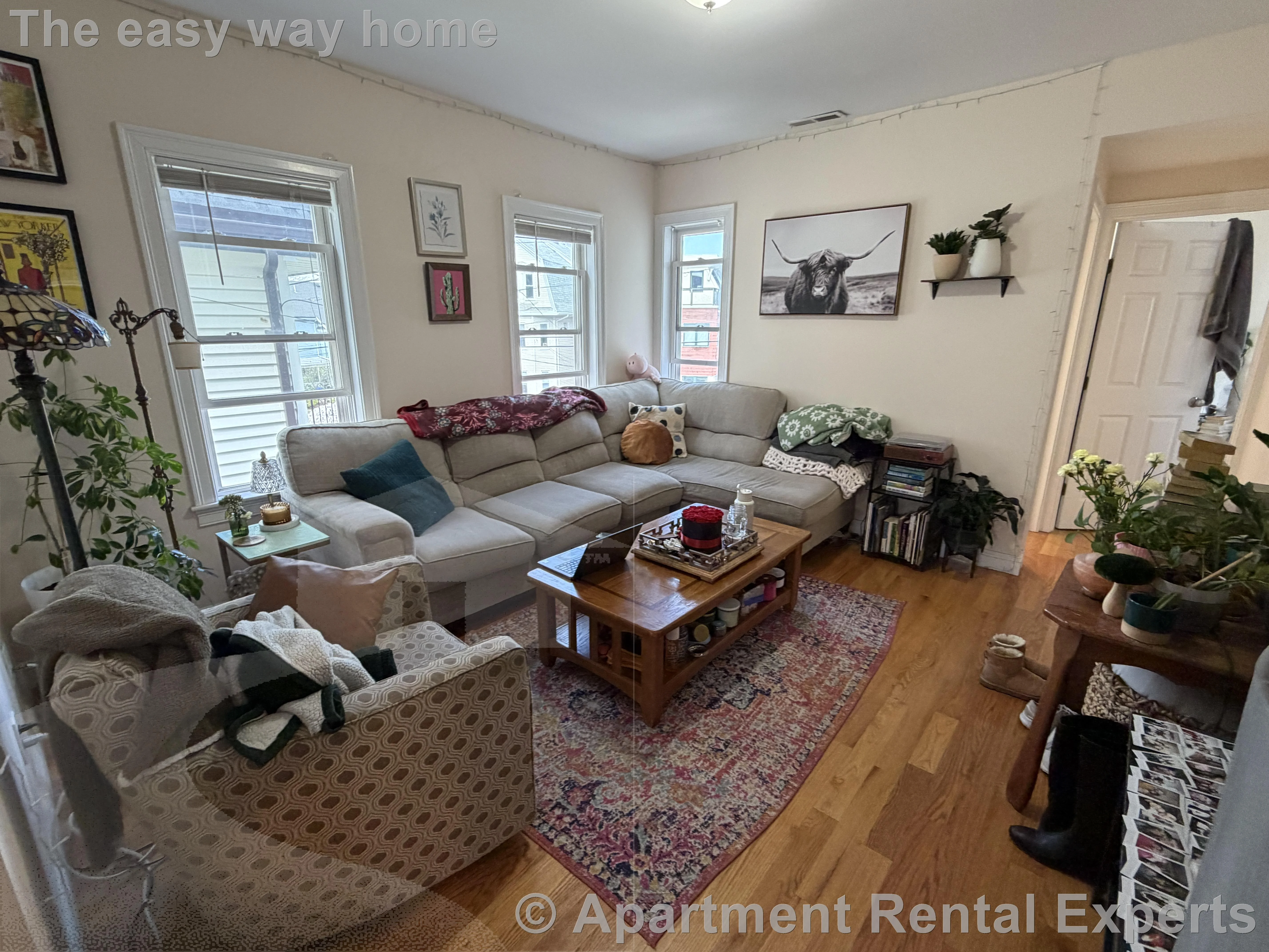 3 bed, 2 bath apartment for rent at 537 Main St Unit 2, Magoun Square — photo 3 of 22