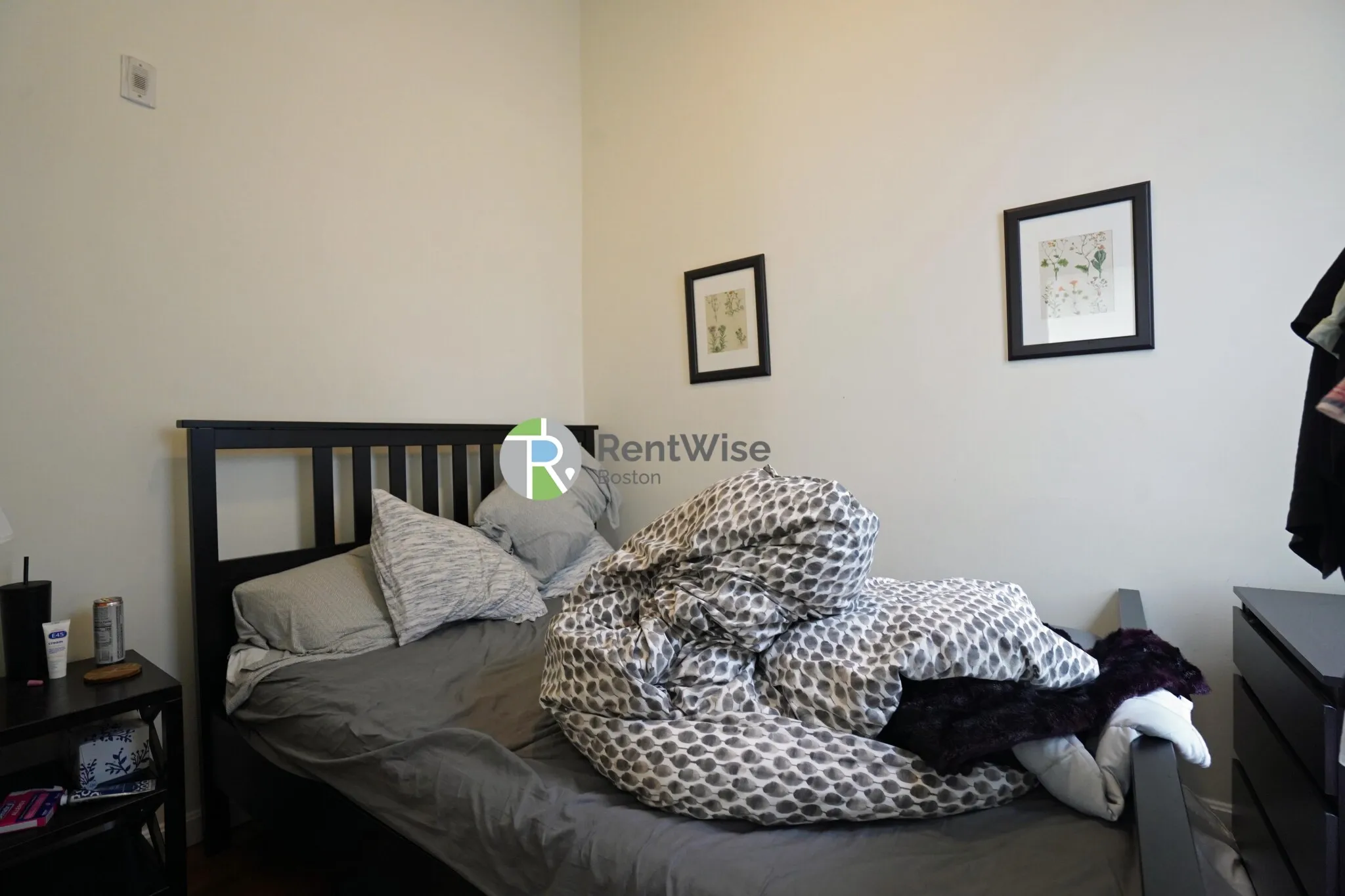 1 bed, 1 bath apartment for rent at 538 East Broadway Unit 4, South Boston — photo 3 of 12
