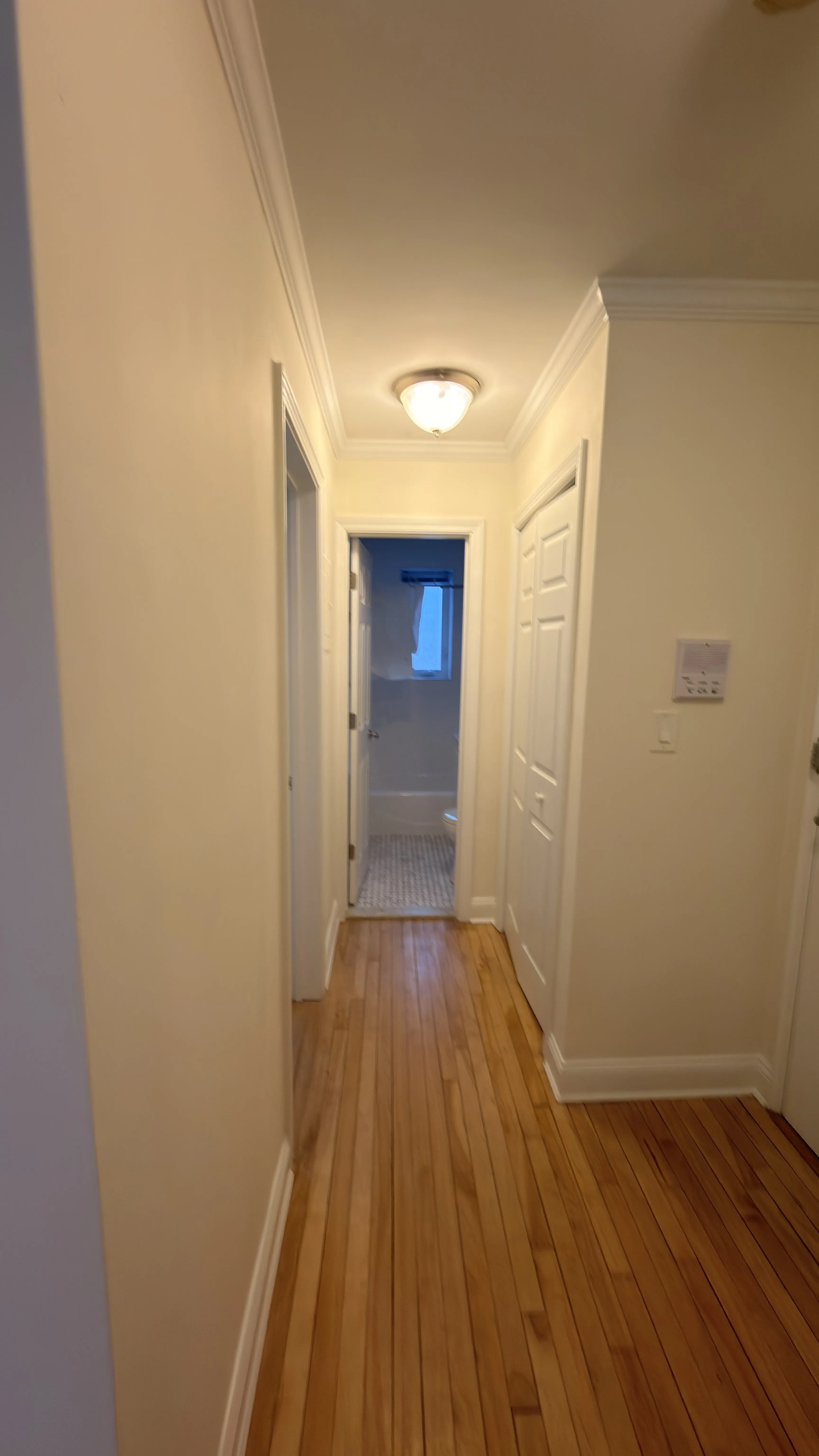 1 bed, 1 bath apartment for rent at 54 Alton Pl Unit 1D, Coolidge Corner — photo 11 of 18