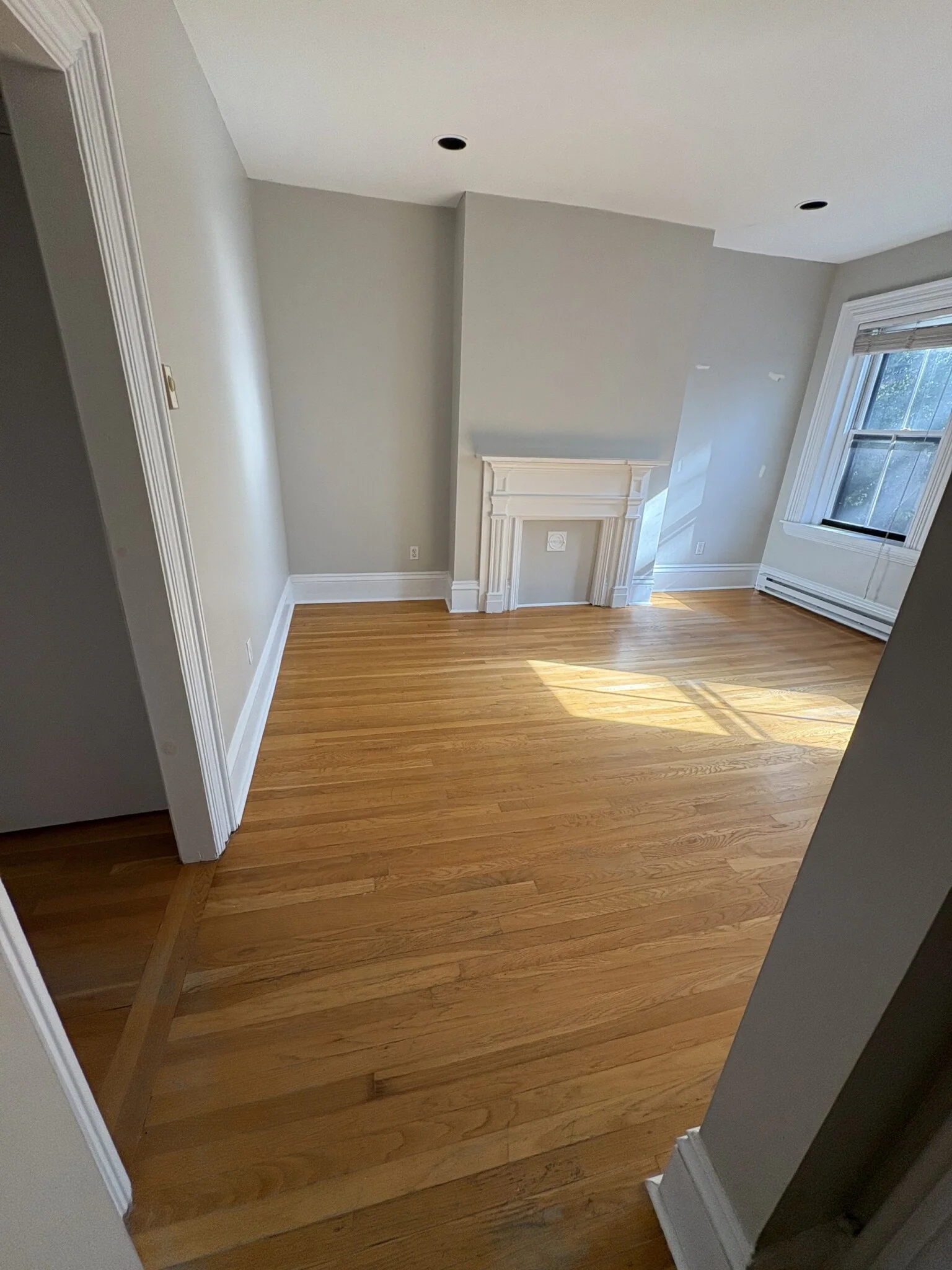 1 bed, 1 bath apartment for rent at 54 E Springfield St Unit 3, South End — photo 4 of 14